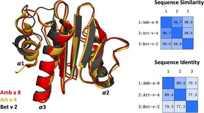 pH-dependent structural diversity of profilin allergens determines thermal stability